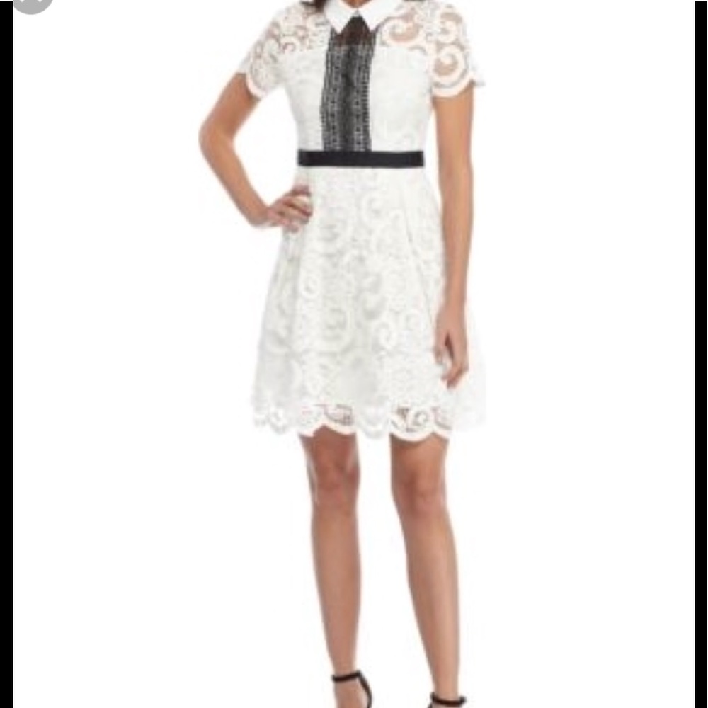 Elegant Nanette Lepore lace dress With collar!